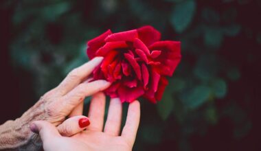 Use flower To Make Someone Fall In Love  With You