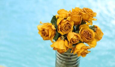 5 Secrets: How To Use organic To Create A  Successful Business