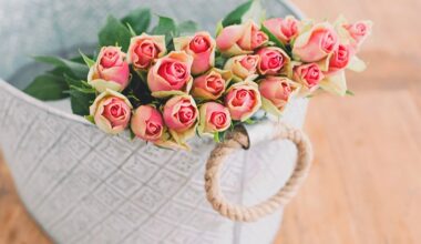 3 Things Everyone Knows About flower  That You Don’t